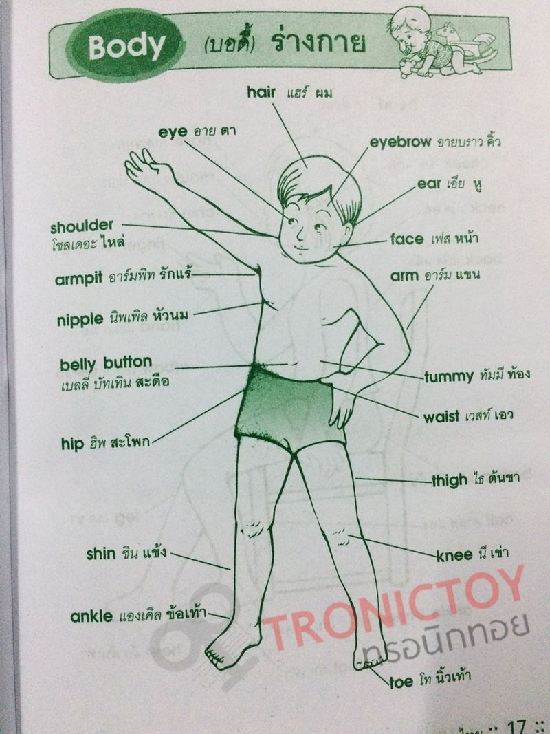 English-Thai Dictionary for Student