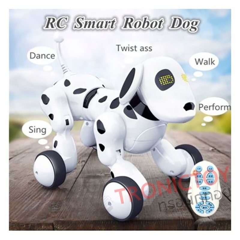 dog intelligence rc 